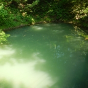 Headwaters of Antes Creek at Nippenose Spring